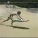 Body Boarder Misses