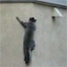 Spider Cat