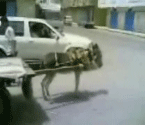 Random Video