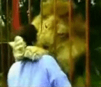 Random Video