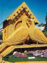 Orange Sculpture 1 - 2491 hits 